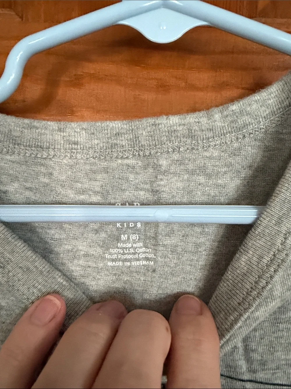Gap & Old Navy graphic dinosaur shirts, M/8